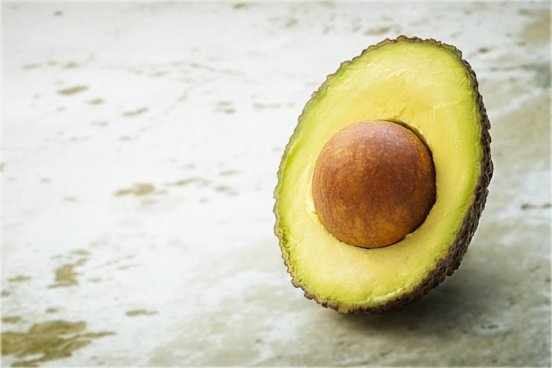 Paleo Nutrition