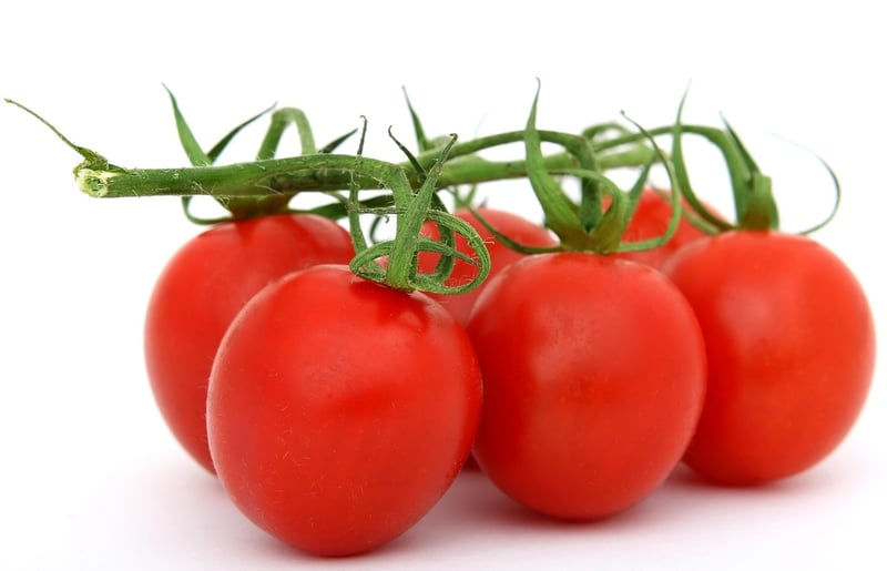 Healthy Paleo Foods